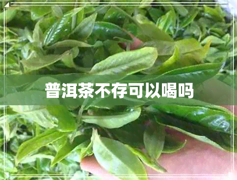 普洱茶不存可以喝吗
