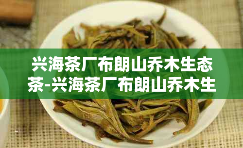 兴海茶厂布朗山乔木生态茶-兴海茶厂布朗山乔木生态茶价格表