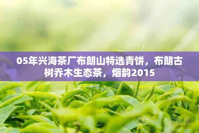 05年兴海茶厂布朗山特选青饼,布朗古树乔木生态茶,韵2015