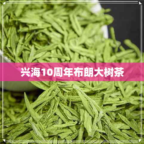 兴海10周年布朗大树茶 兴海10周年布朗大树茶