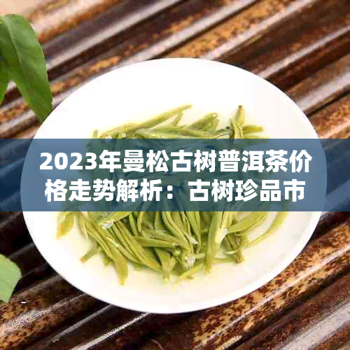 2023年曼松古树普洱茶价格走势解析:古树珍品市场价值探秘