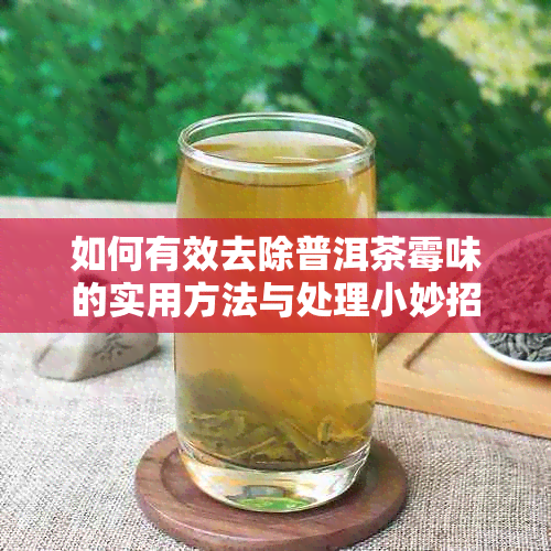 如何有效去除普洱茶霉味的实用方法与处理小妙招