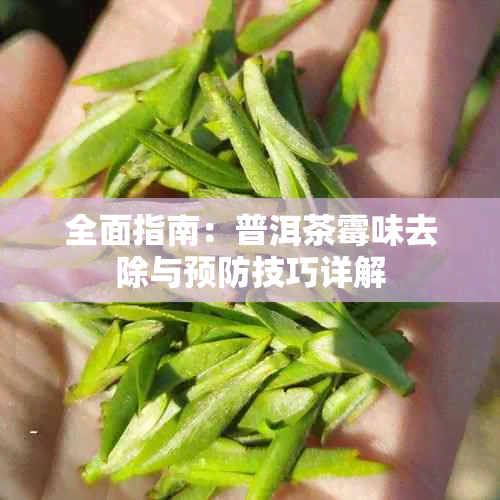全面指南:普洱茶霉味去除与预防技巧详解