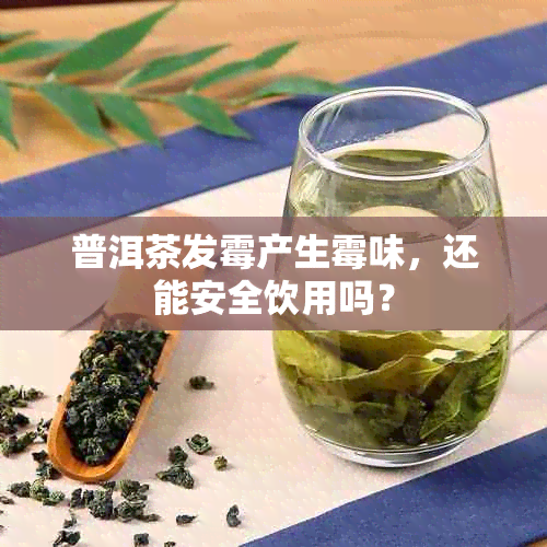 普洱茶发霉产生霉味,还能安全饮用吗?