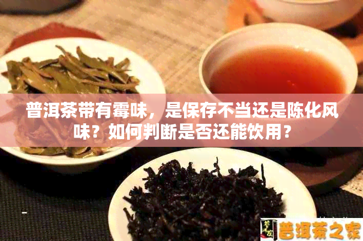 普洱茶带有霉味,是保存不当还是陈化风味?如何判断是否还能饮用?