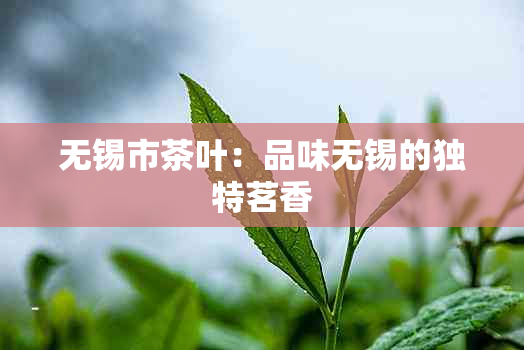 无锡市茶叶:品味无锡的独特茗香