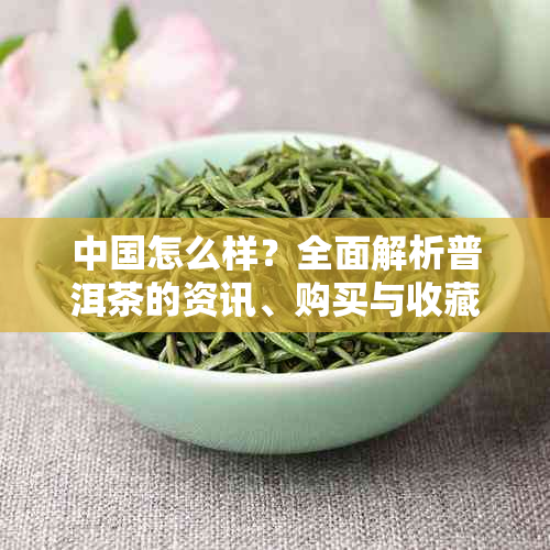 中国怎么样?全面解析普洱茶的资讯、购买与收藏价值