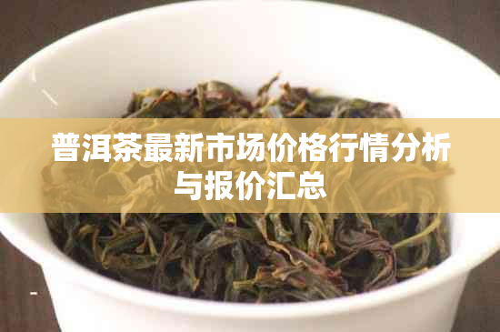 普洱茶最新市场价格行情分析与报价汇总