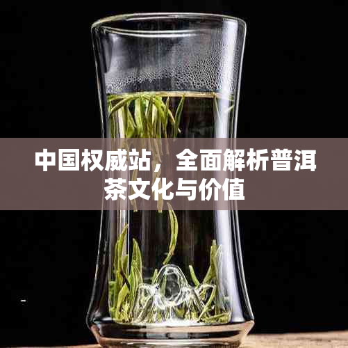 中国权威站,全面解析普洱茶文化与价值