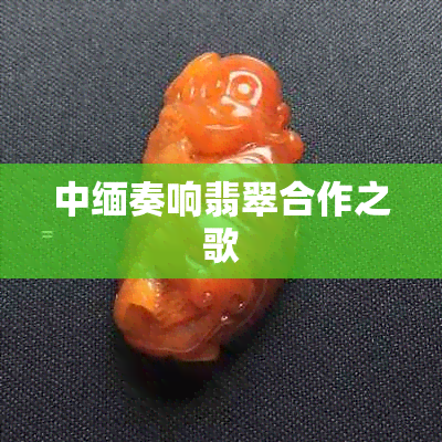 中缅奏响翡翠合作之歌