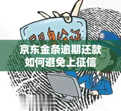 京东金条逾期还款如何避免上