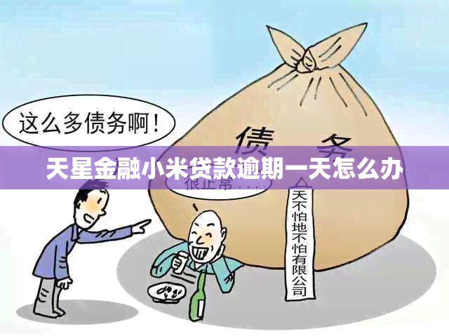 天星金融小米贷款逾期一天怎么办