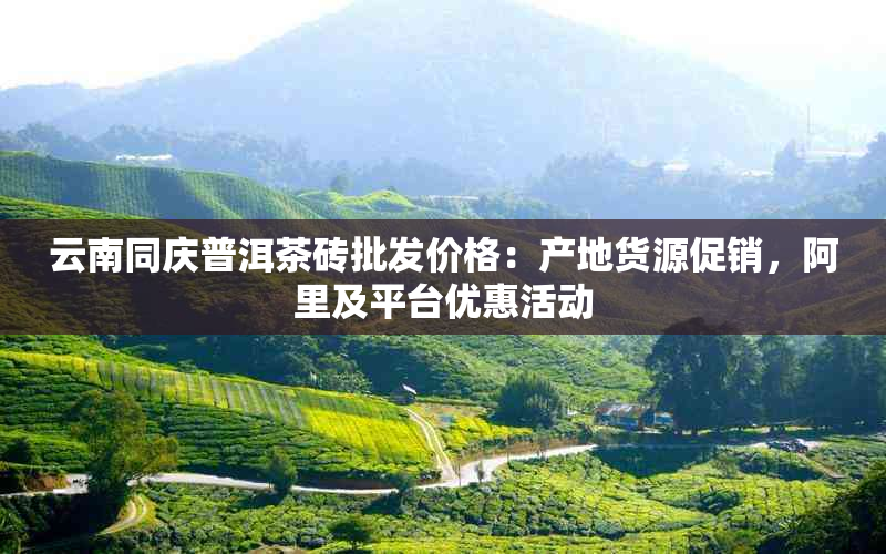 云南同庆普洱茶砖批发价格:产地货源促销,阿里及平台优惠活动
