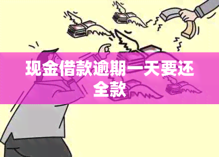 现金借款逾期一天要还全款
