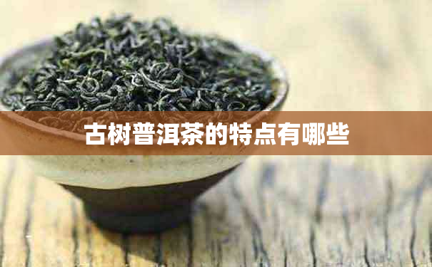 古树普洱茶的特点有哪些