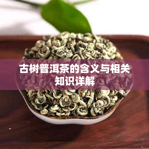 古树普洱茶的含义与相关知识详解
