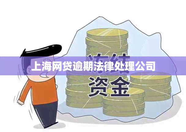 上海网贷逾期法律处理公司