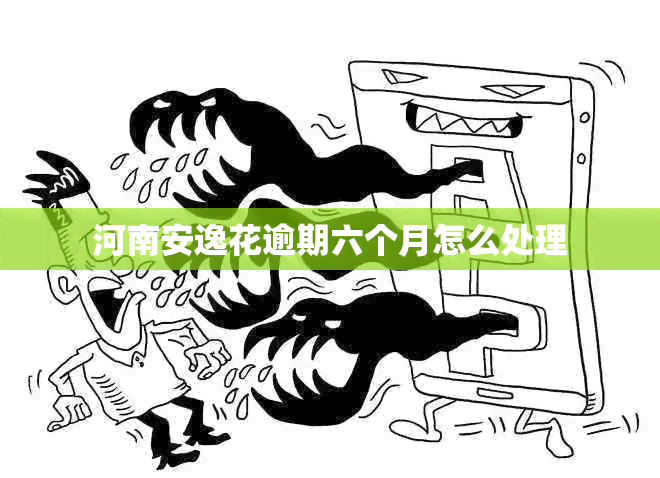 河南安逸花逾期六个月怎么处理