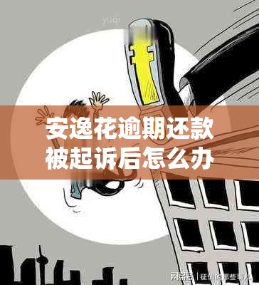 安逸花逾期还款被起诉后怎么办