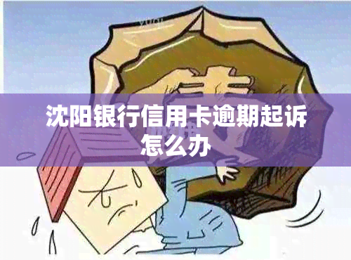 沈阳银行信用卡逾期起诉怎么办