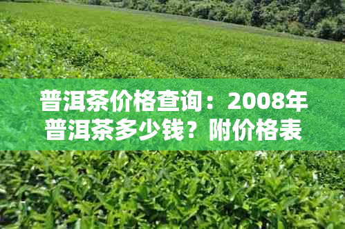 普洱茶价格查询:2008年普洱茶多少钱?附价格表