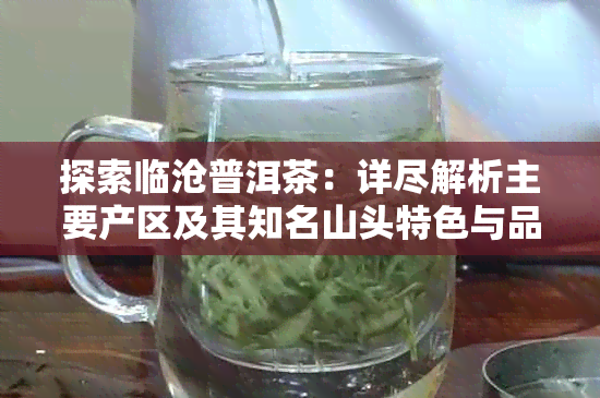 探索临沧普洱茶：详尽解析主要产区及其知名山头特色与品质分析