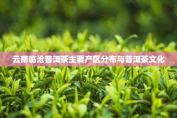云南临沧普洱茶主要产区分布与普洱茶文化