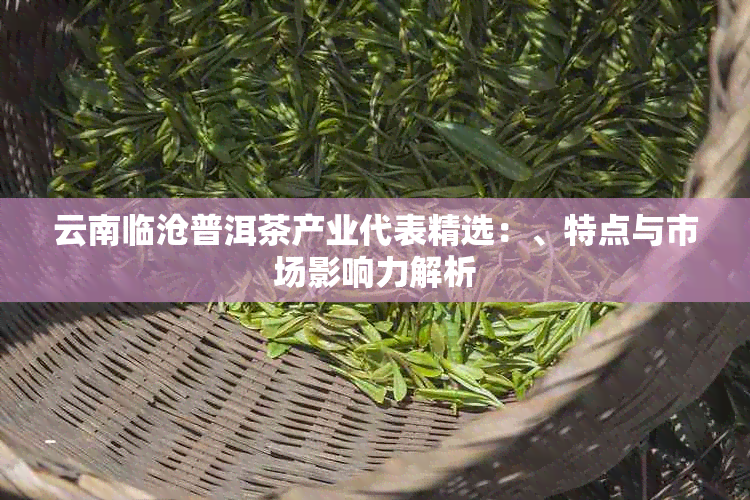 云南临沧普洱茶产业代表精选：、特点与市场影响力解析
