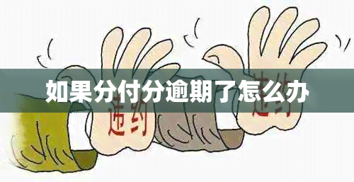 如果分付分逾期了怎么办