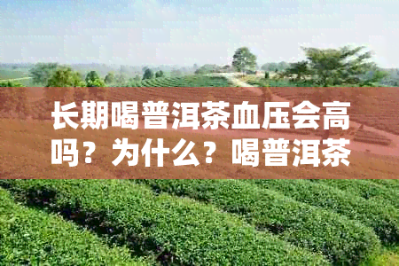 长期喝普洱茶血压会高吗？为什么？喝普洱茶会血压高吗？