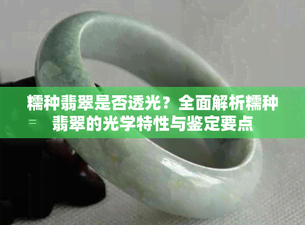糯种翡翠是否透光？全面解析糯种翡翠的光学特性与鉴定要点