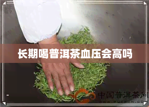 长期喝普洱茶血压会高吗