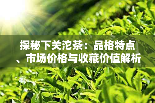 探秘下关沱茶：品格特点、市场价格与收藏价值解析