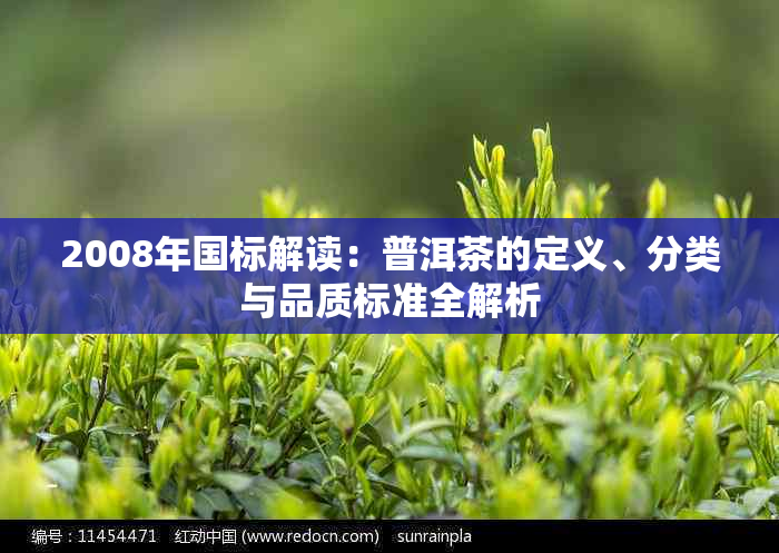 2008年国标解读:普洱茶的定义、分类与品质标准全解析