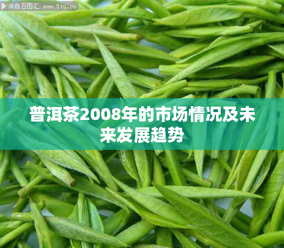 普洱茶2008年的市场情况及未来发展趋势