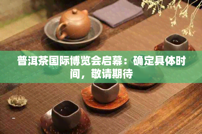 普洱茶国际博览会启幕：确定具体时间，敬请期待