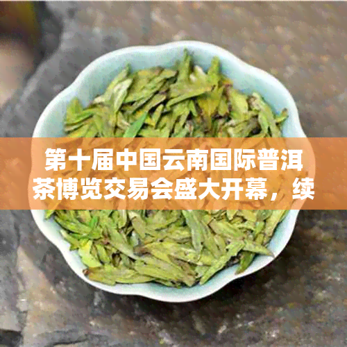 第十届中国云南国际普洱茶博览交易会盛大开幕，续写云南普洱茶五年辉煌篇章