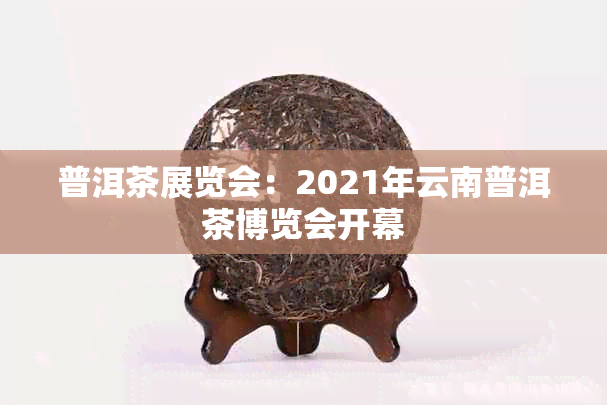普洱茶展览会：2021年云南普洱茶博览会开幕