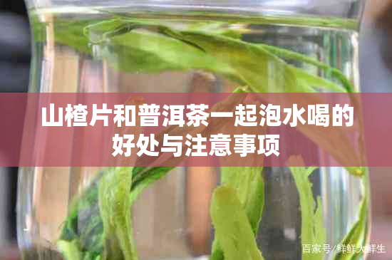 山楂片和普洱茶一起泡水喝的好处与注意事项