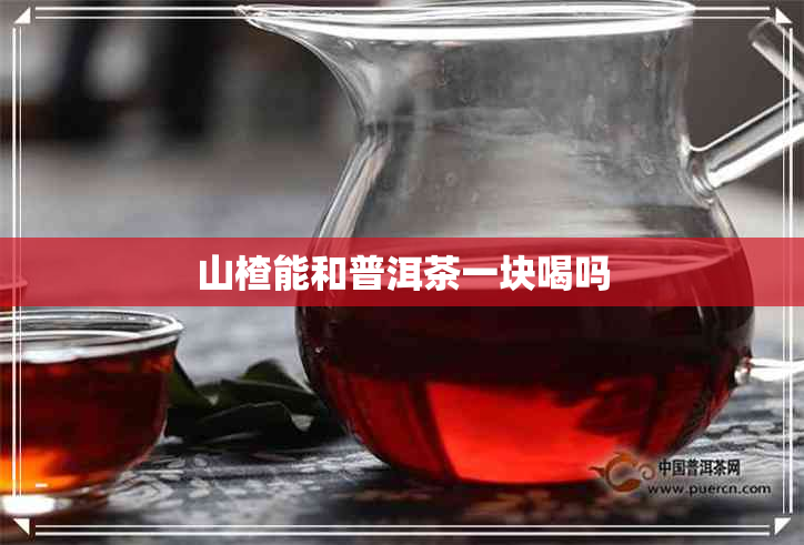 山楂能和普洱茶一块喝吗 山楂能和普洱茶一块喝吗