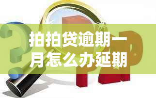 拍拍贷逾期一月怎么办延期还款