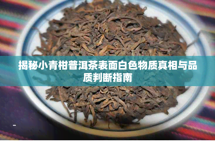揭秘小青柑普洱茶表面白色物质真相与品质判断指南