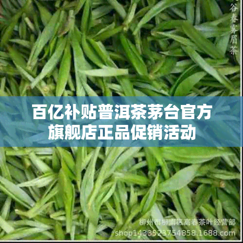 百亿补贴普洱茶茅台官方旗舰店正品促销活动