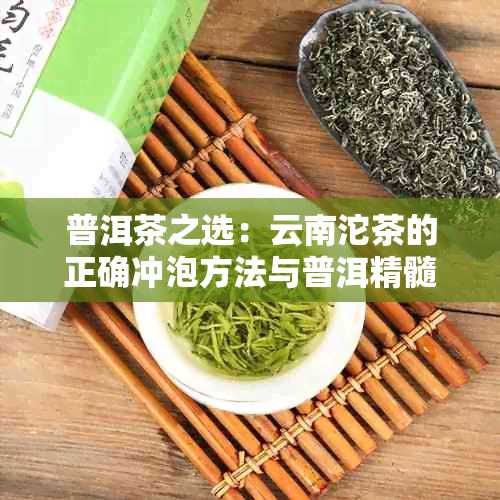 普洱茶之选：云南沱茶的正确冲泡方法与普洱精髓解析