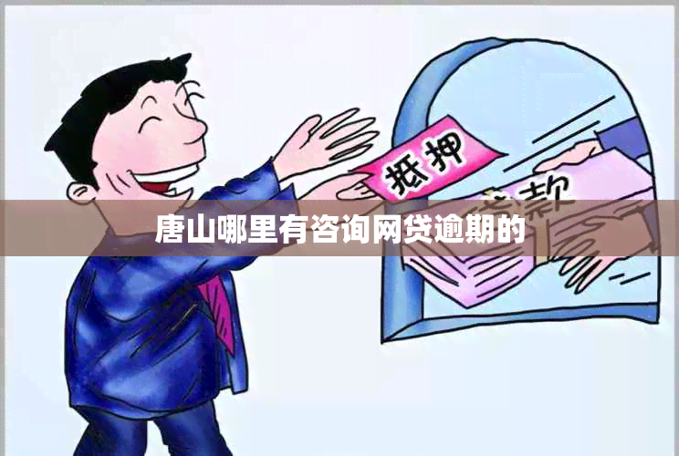 唐山哪里有咨询网贷逾期的