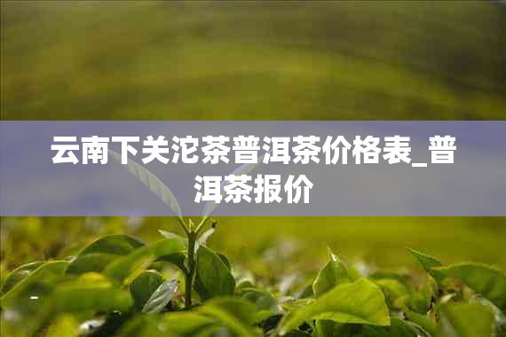 云南下关沱茶普洱茶价格表_普洱茶报价