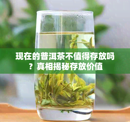 现在的普洱茶不值得存放吗？真相揭秘存放价值