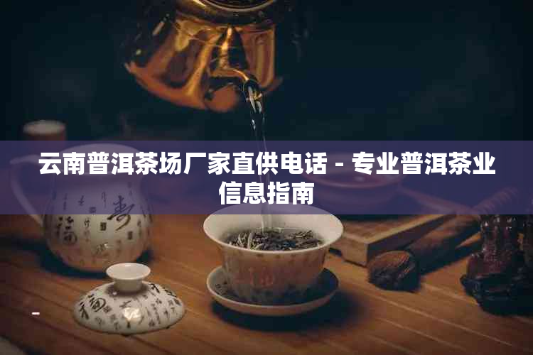 云南普洱茶场厂家直供电话 - 专业普洱茶业信息指南