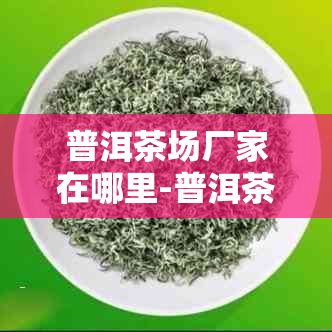 普洱茶场厂家在哪里-普洱茶叶场地址