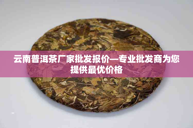 云南普洱茶厂家批发报价—专业批发商为您提供更优价格